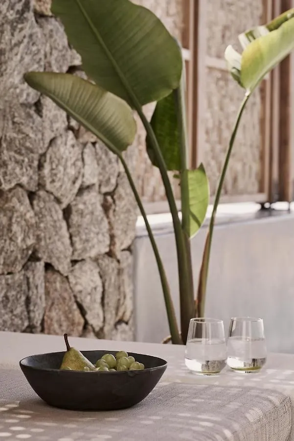 Archipelagos All Suites Elia  Elia (Mykonos)